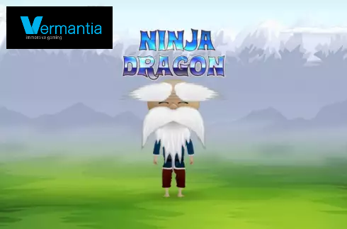 Ninja Dragon
